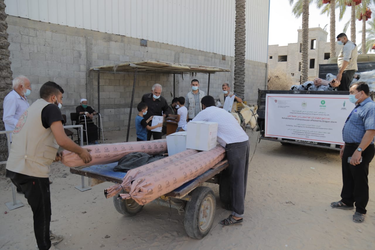 العمل الزراعي يقوم بتوزيع مستلزمات لتأهيل دفيئات زراعية على 400 مزارع في جنوب قطاع غزة